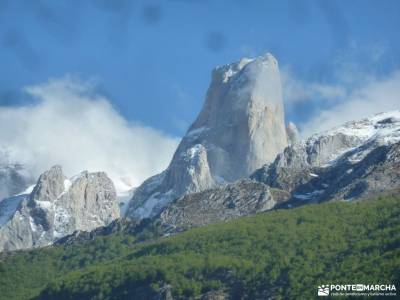 Ruta Cares-Picos de Europa; ocejon juniperus thurifera puente poncebos viajazo